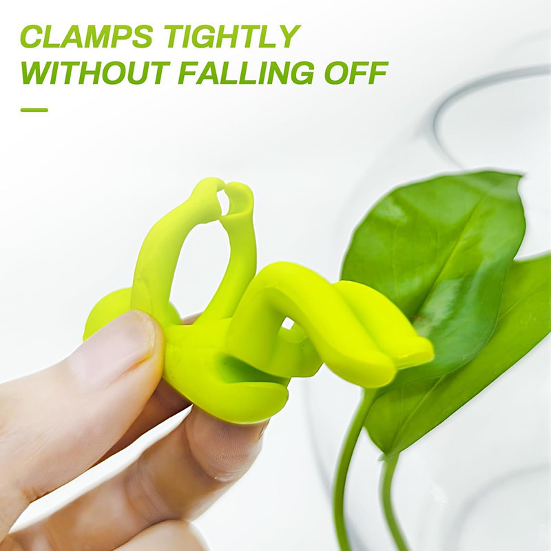 Hydroponic Plant Fixing Figuri - Interior Design Office 评论和价格