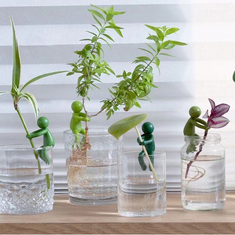 Hydroponic Plant Fixing Figuri - Interior Design Office 评论和价格