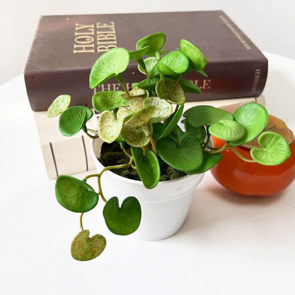 Soft Glue Artificial Plant EVA - Interior Design Office 评论和价格