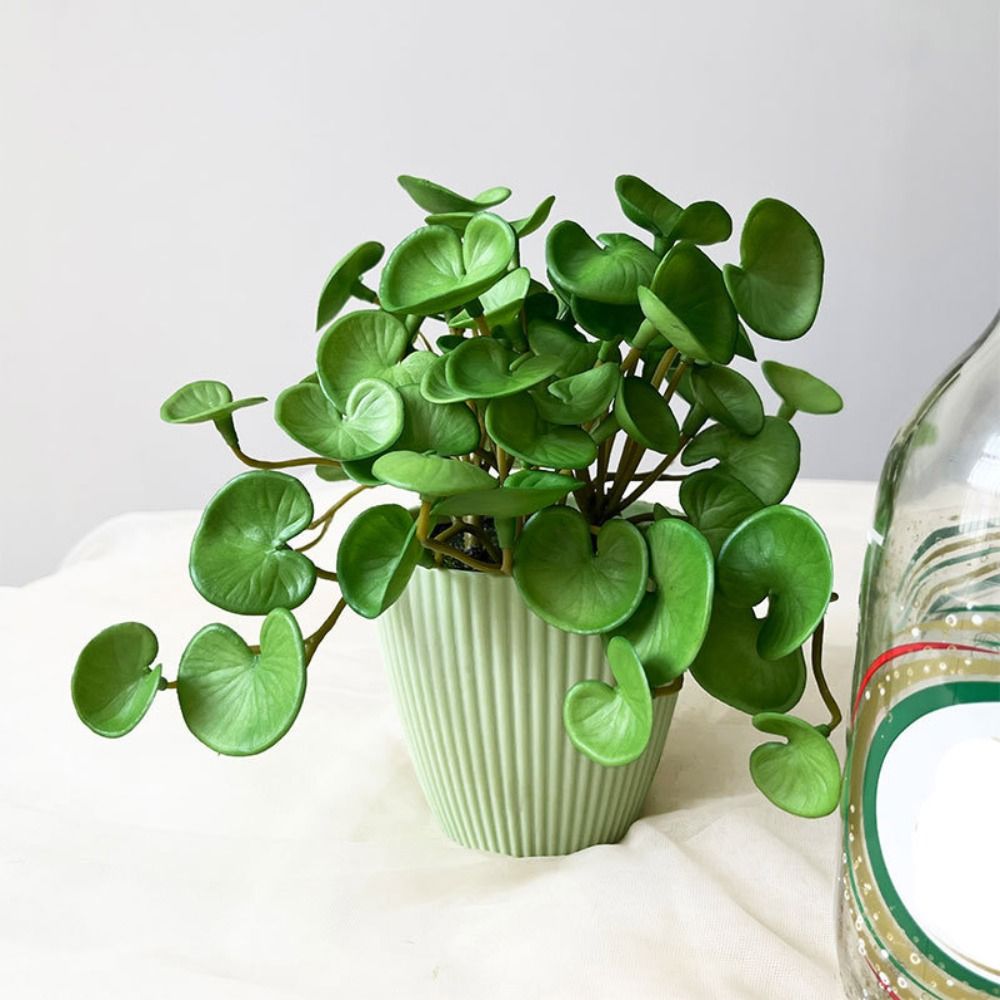 Soft Glue Artificial Plant EVA - Interior Design Office 评论和价格