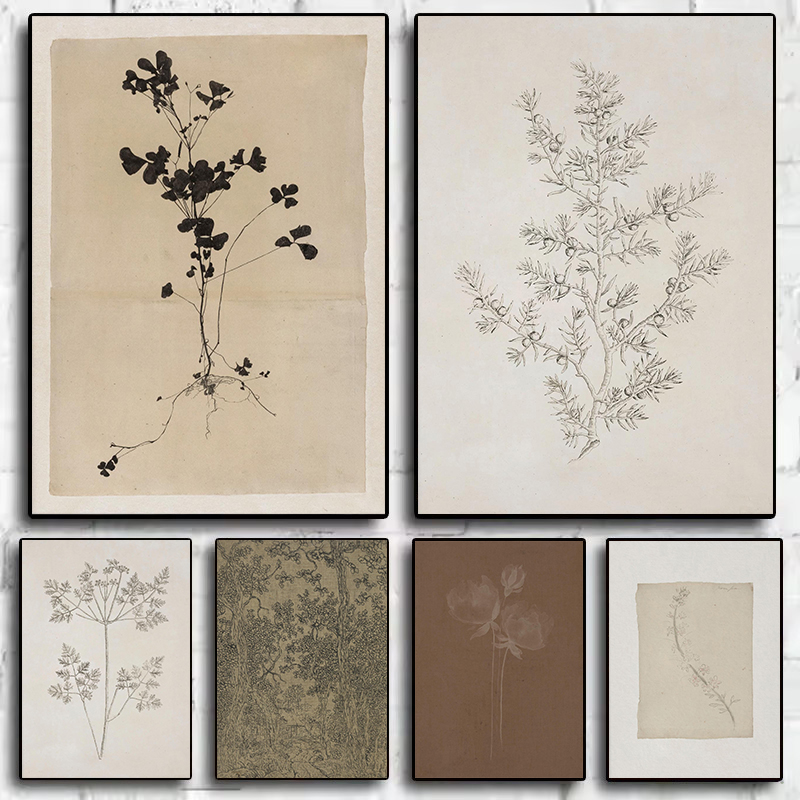 Vintage Minimalist Olive Branc - Interior Design Sketch 评论和价格